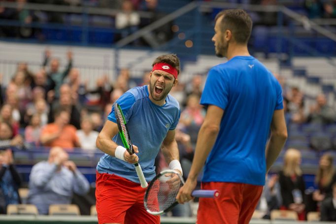 Davis Cup - čtyřhra