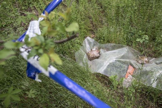 Do takto neprofesionálně připravené pasti se žádní živočichové nechytí, kroutí hlavou Mikátovi.  