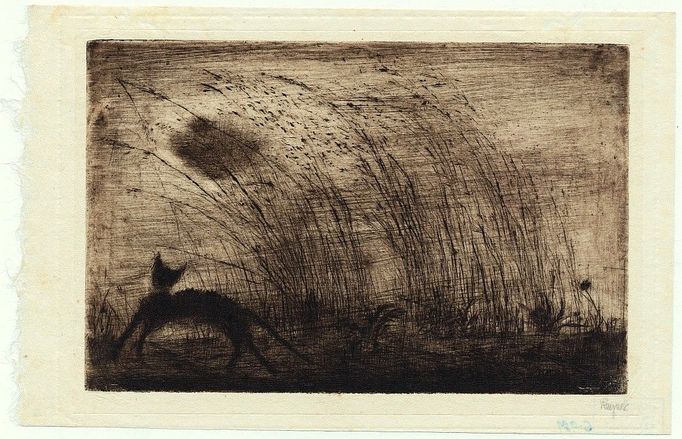 Bohuslav Reynek: Kočka na zdi II., 1957