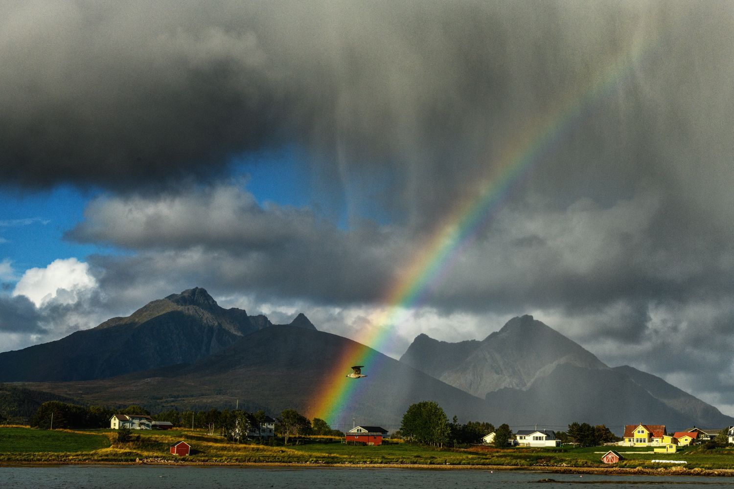 TOP FOTO 2021 - Richard Horák