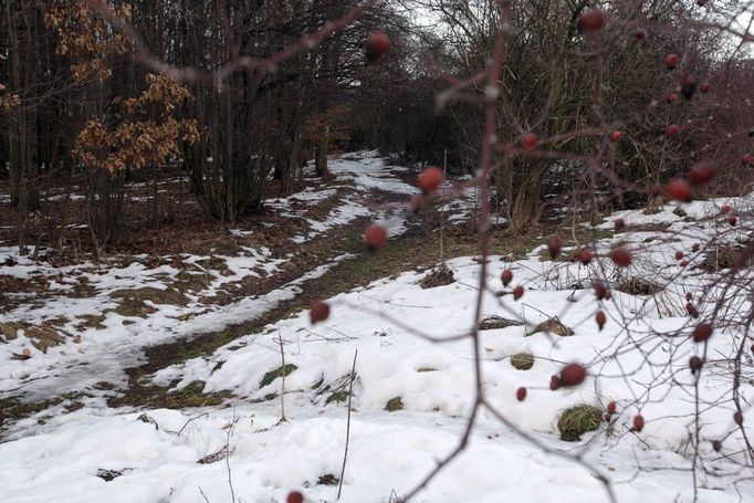 Jako poslední možná viděl Aničku důchodce, který tehdy trhal nad Trojou šípky. Přihlásil se, že spatřil muže s dítětem. Do tváře jim ale neviděl, policie proto hledá další svědky