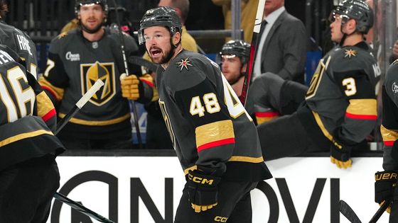 Hokej NHL Tomáš Hertl