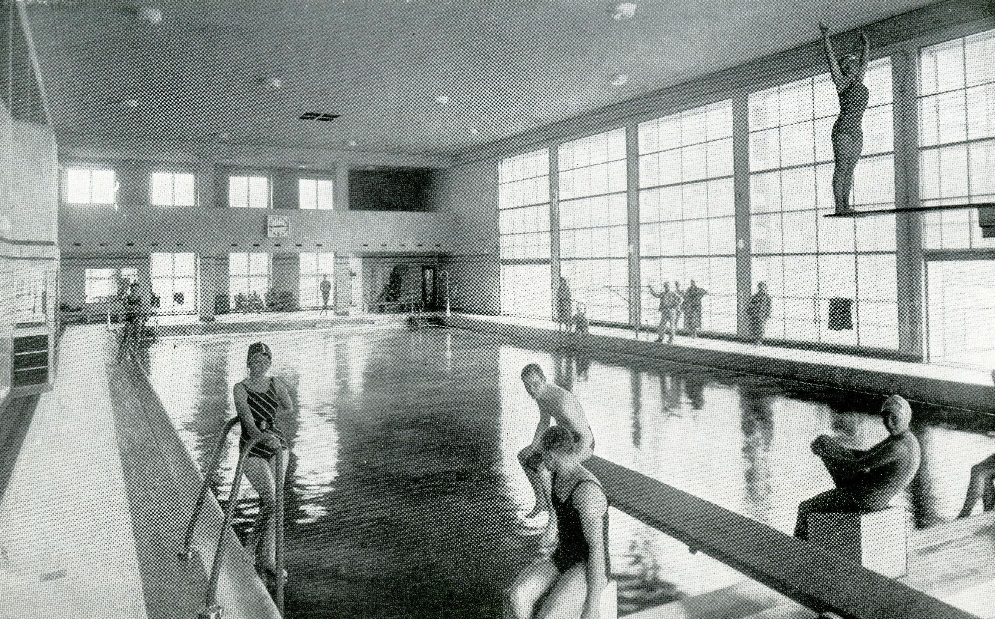 Mozkožrout, PAME, bakterie, epidemie, Ústí nad Labem, Domácí