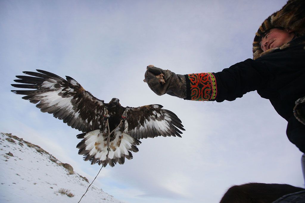 Foto: Překrásné fotografie světa od BBC /// Nepoužívat ve článcích! ///