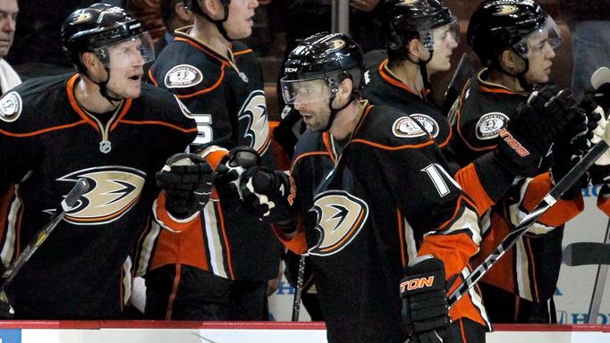 Radek Dvořák (Anaheim) se raduje z branky