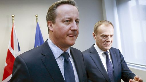 David Cameron a Donald Tusk v Bruselu.