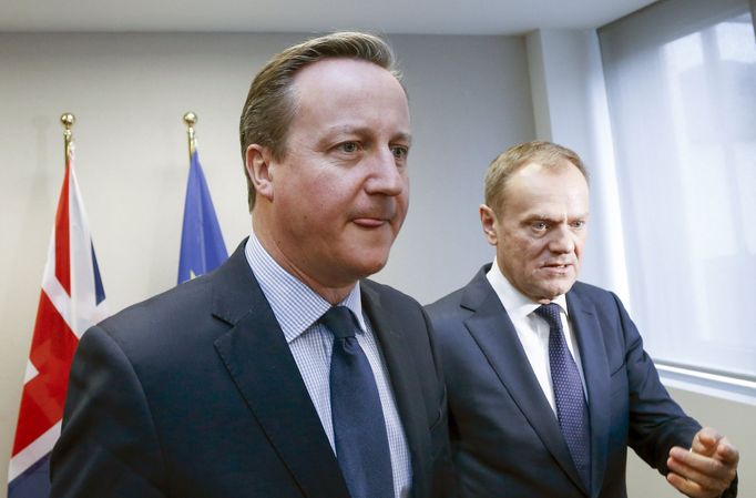 David Cameron a Donald Tusk v Bruselu.