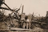 Na fotografii z roku 1916 pozorují britští důstojníci dělostřeleckou palbu během bitvy na řece Sommě.
