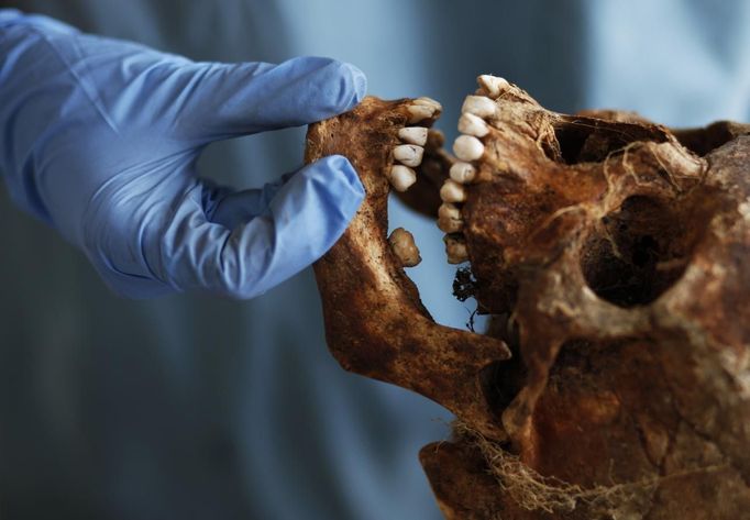 A forensic expert of the International Commission on Missing Persons (ICMP)works on trying to identify the remains of a victim of the Srebrenica massacre, at the ICMP centre near Tuzla July 9, 2012. Some 520 recently discovered Bosnian Muslim victims' remains from the Srebrenica massacre will be buried on July 11 at the Memorial center in Potocari. REUTERS/Dado Ruvic (BOSNIA AND HERZEGOVINA - Tags: CIVIL UNREST CRIME LAW DISASTER) Published: Čec. 9, 2012, 2:43 odp.