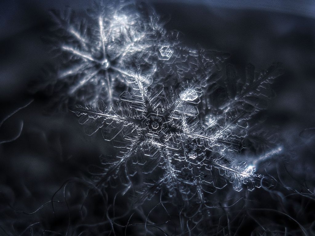 Makro snímky sněhových vloček