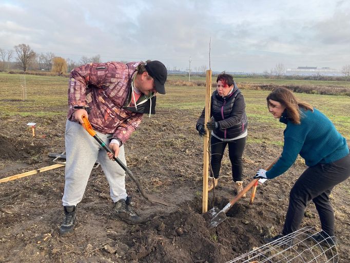 Obnova zeleně v místech, kudy prošlo v červnu 2021 tornádo.