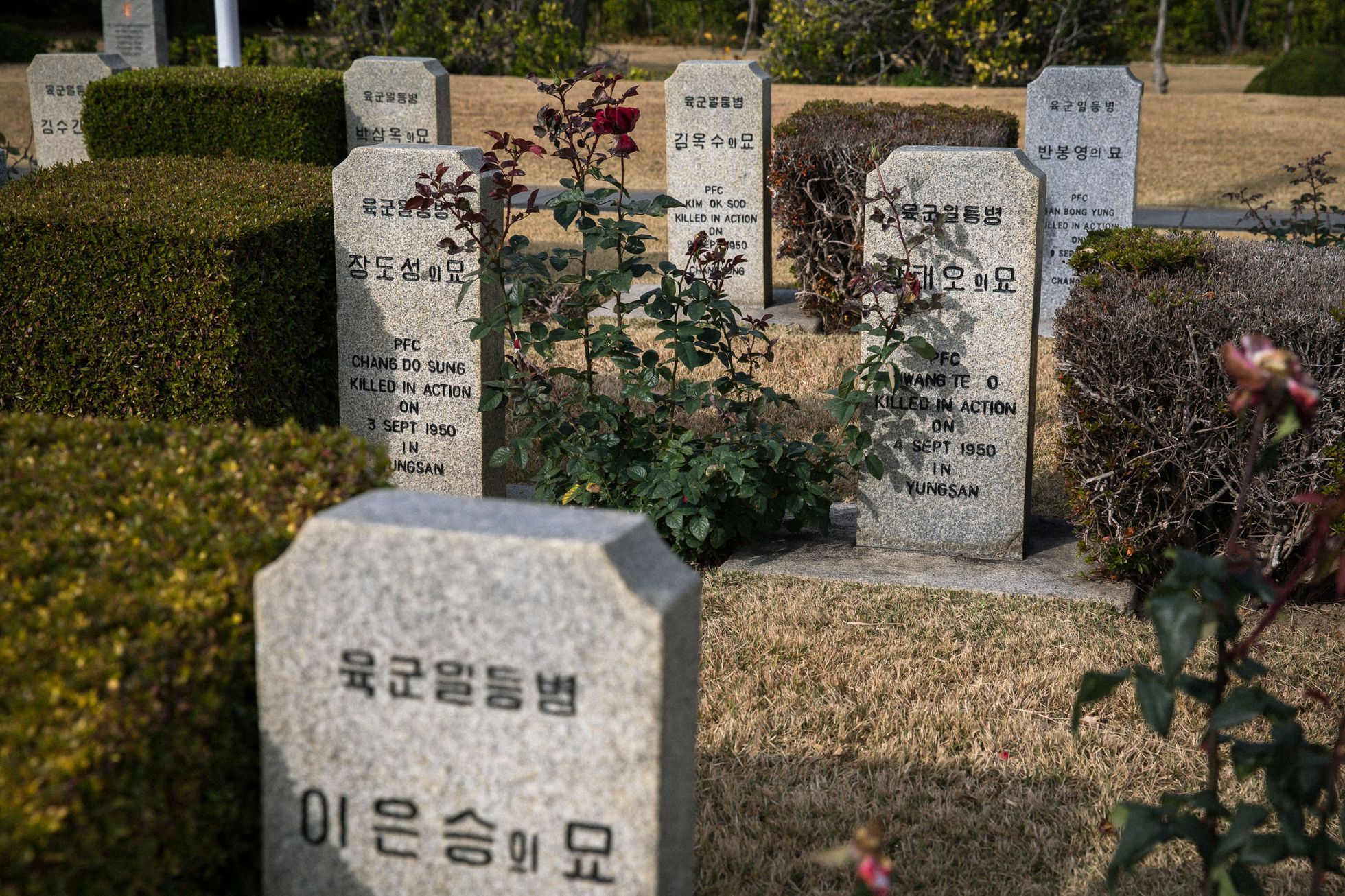 jižní korea hřbitov osn korejská válka