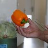 V Brně testují zeleninu na přítomnost Enterohemoragická Eshcherichia Coli (EHEC)