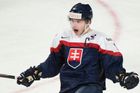 Réway nejspíš zmešká celou sezonu, slovenský hokej může zaplakat ještě víc než dřív