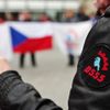 Brno blokovalo pochod neonacistů - finální foto