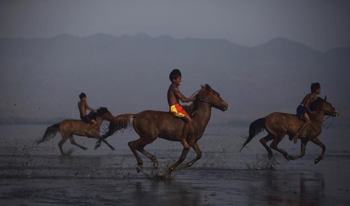 Endiansyah Mohammad (C) warms up his horse on Kalaki beach outside Bima, November 17, 2012. Dozens of child jockeys, some as young as eight-years-old take part in the races. Involving nearly 600 horses they take place around a dusty, oval track of 1,400 meters (nearly one mile). The reward, for the winner is a handful of cash for his family, and glory for the jockey. The grand prize is one million rupiah ($100). Those who win their groups get two cows. The chairman of the races' organising team, Hajji Sukri, denies that there is any danger to the children saying they are all skilful riders and none has been killed or seriously hurt. Picture taken November 17, 2012. REUTERS/Beawiharta (INDONESIA - Tags: SPORT SOCIETY) ATTENTION EDITORS: PICTURE 24 of 25 FOR PACKAGE 'BETTING ON CHILD JOCKEYS' Published: Lis. 24, 2012, 9:15 dop.