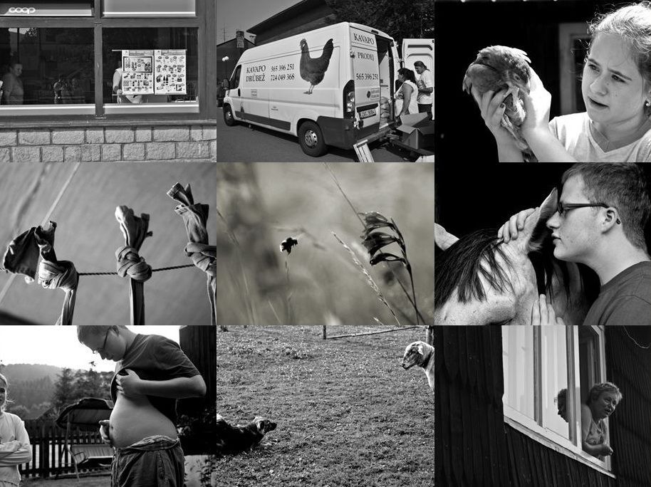 Week of Life - Den v životě - Šárka Lisníková - 2. 7. 2012 - cover