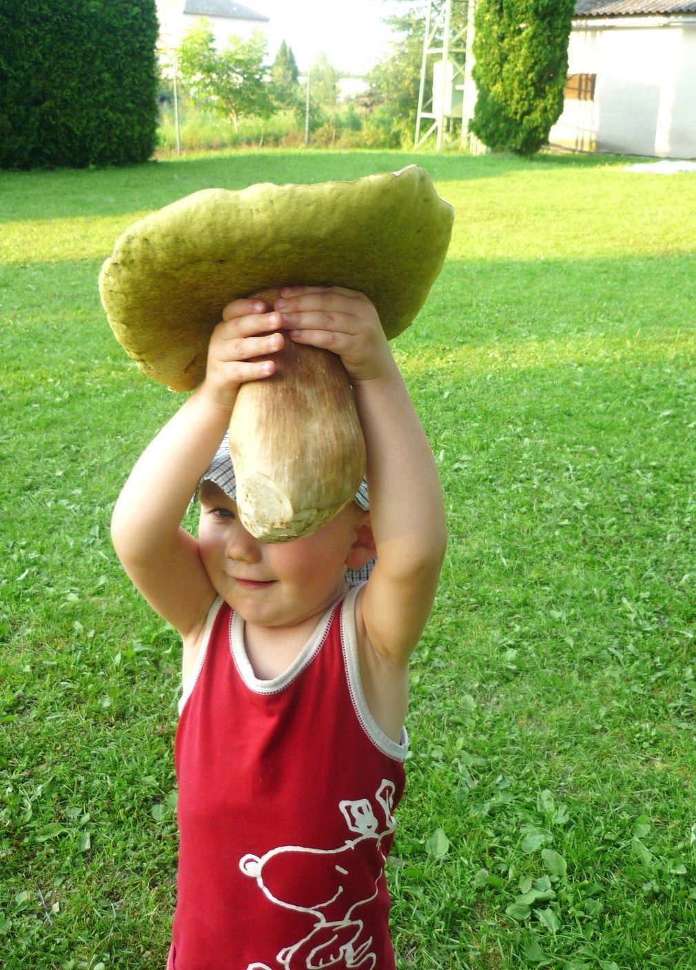 Fotosoutěž: Houby 2002 (srpen) xxx Eva Valtrová xxx !!!Nepoužívat v článcích!!!