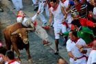 Býci ve Španělsku znovu nabírali na rohy