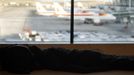 A person sleeps on the floor of Terminal 4 as Iberia's airplanes are parked on the tarmac during a 24-hour nationwide general strike, at Madrid's Barajas airport November 14, 2012. Spanish and Portuguese workers are staging the first coordinated general strike across the Iberian Peninsula on Wednesday, shutting transport, grounding flights and closing schools to protest against spending cuts and tax hikes. REUTERS/Sergio Perez (SPAIN - Tags: POLITICS BUSINESS EMPLOYMENT CIVIL UNREST TRANSPORT) Published: Lis. 14, 2012, 9:09 dop.