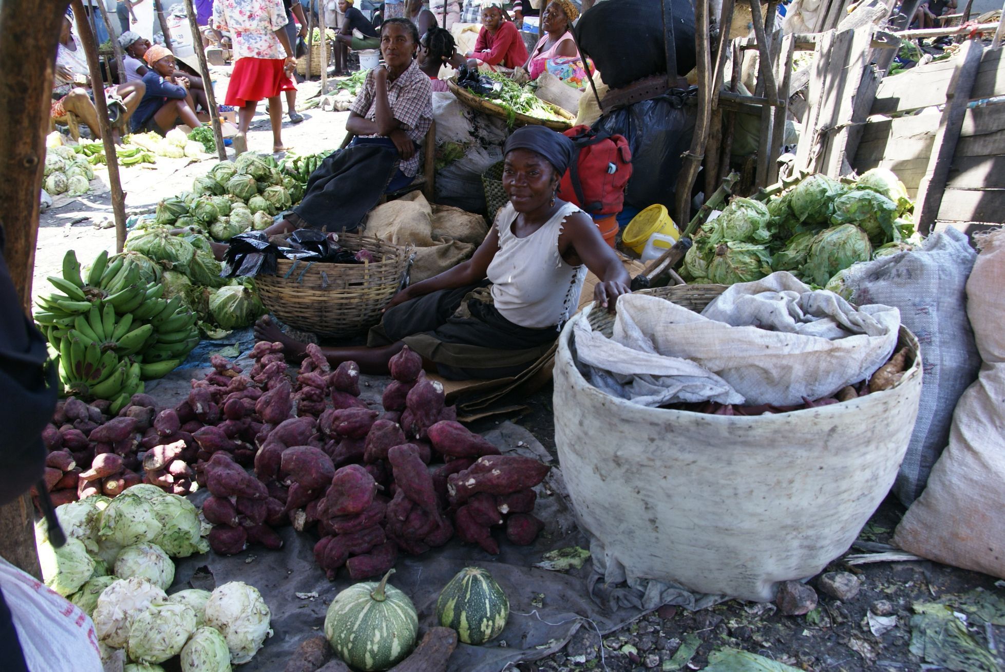 Česká humanitární pomoci na Haiti