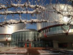 Evropský soud pro lidská práva ve Štrasburku.