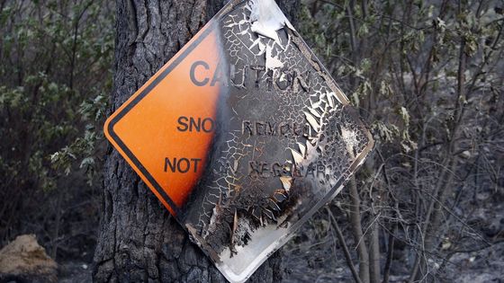 Požár požírá Yosemitský národní park