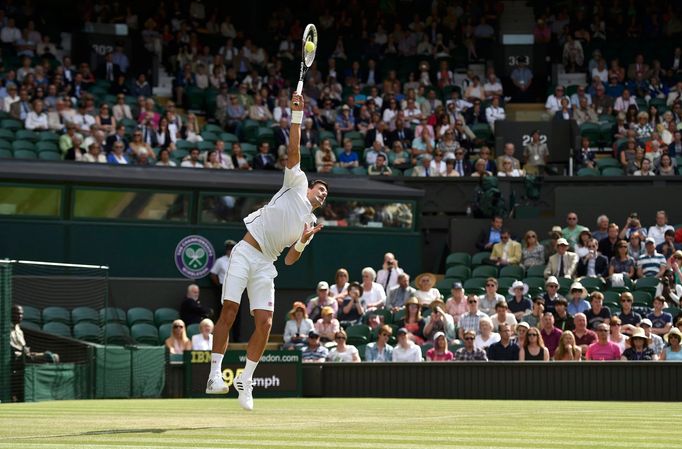 Wimbledon 2014: Štěpánek - Djokovič