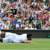 Wimbledon 2011: Tsonga