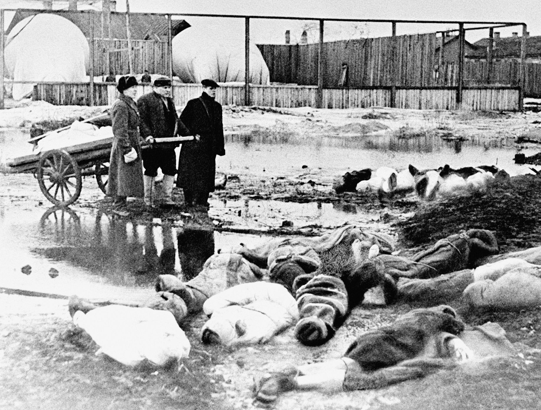 Jednorázové užití / Fotogalerie / Uplynulo 80 let od krvavého obležení Leningradu, která si vyžádala přes milion životů / Leningrad / Druhá světová válka / Obležení / Blokáda