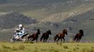 Rallye Dakar 2013, devátá etapa mezi Tucumánem a argentinskou Cordobou (Francouz Vincent Guindani)