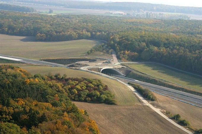 Zelený most na 52. kilometru dálnice D11 ve směru na Hradec Králové.