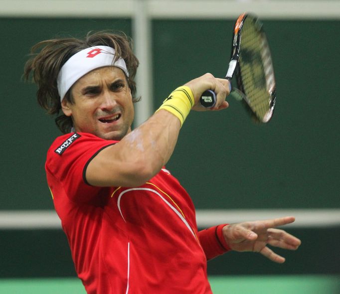 Finále Davis Cupu, zápas Radek Štěpánek - David Ferrer