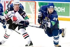 Utkání hvězd KHL si zahraje jen jeden Čech - Petružálek.