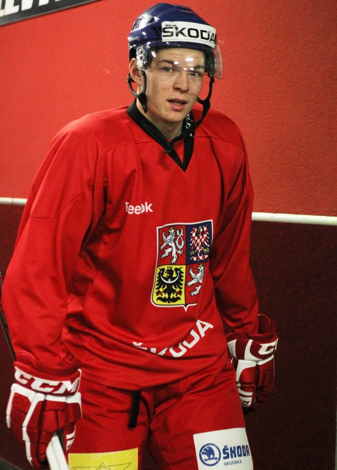 Tomáš Hertl na tréninku české hokejové reprezentace před MS ve Švédsku 2013.