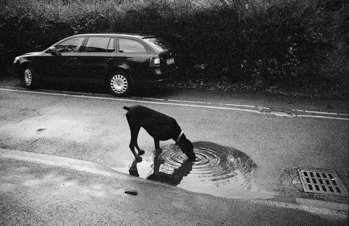 Daniel Šperl: snímky z nové knihy Homo Pragensis