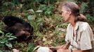 Britská bioložka Jane Goodallová. Foce v roce 1988 v Tanzanii.