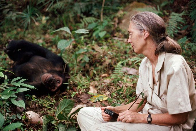 Britská bioložka Jane Goodallová. Foce v roce 1988 v Tanzanii.