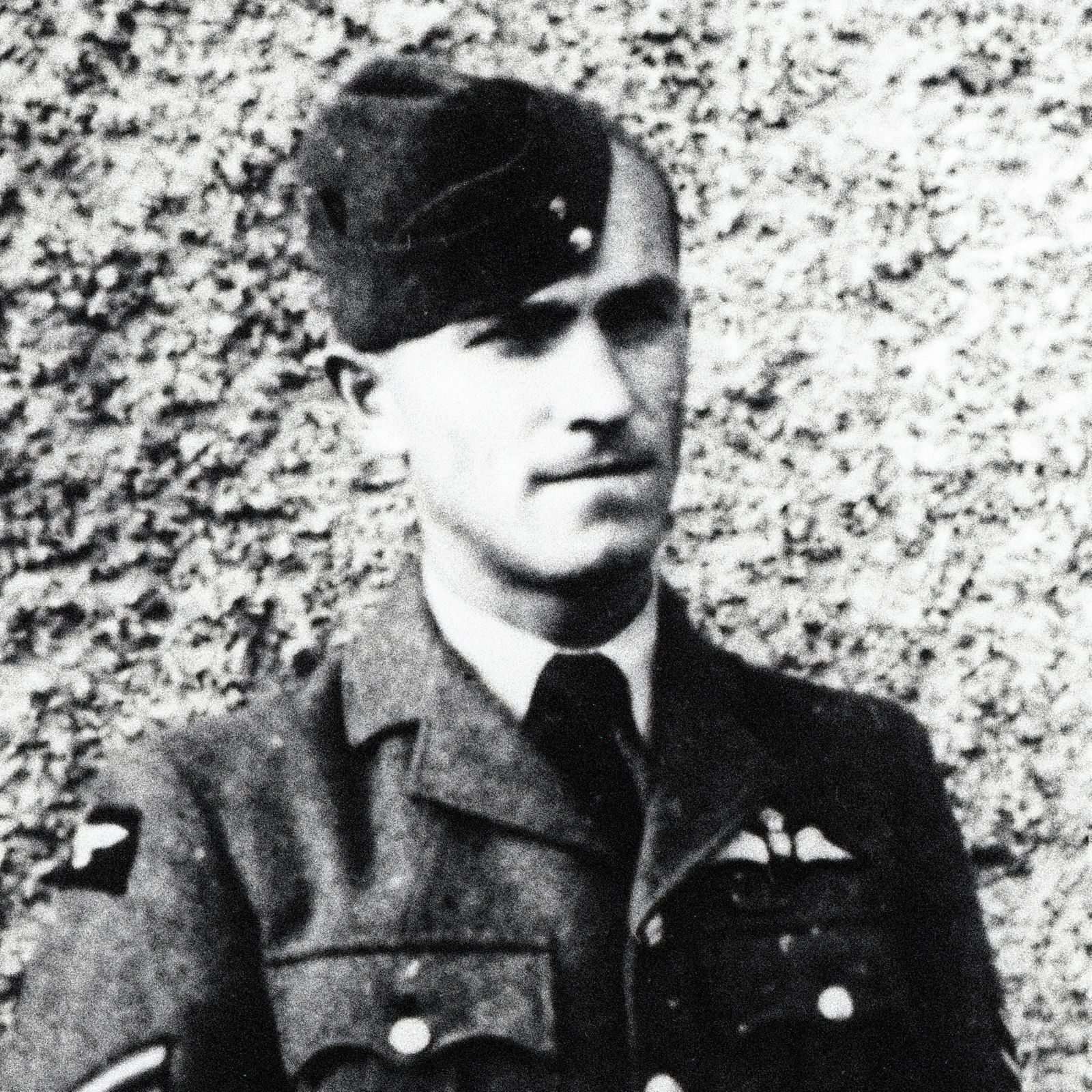 Jednorázové užití / Fotogalerie / RAF a bitva o Británii