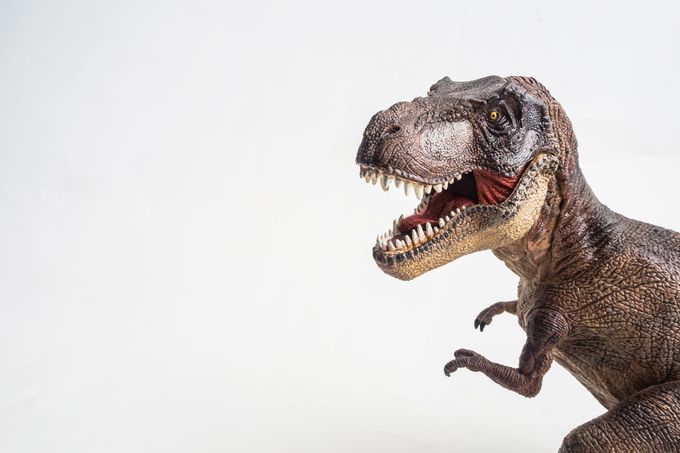 Tyrannosaurus Rex