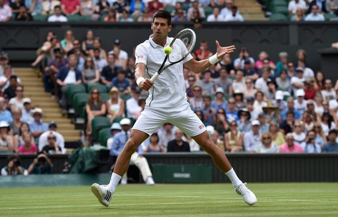 Wimbledon 2014: Štěpánek - Djokovič