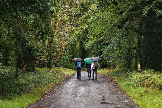 Strašidelný hrad Charleville a tajemný druidský les poblíž irského Tullamore