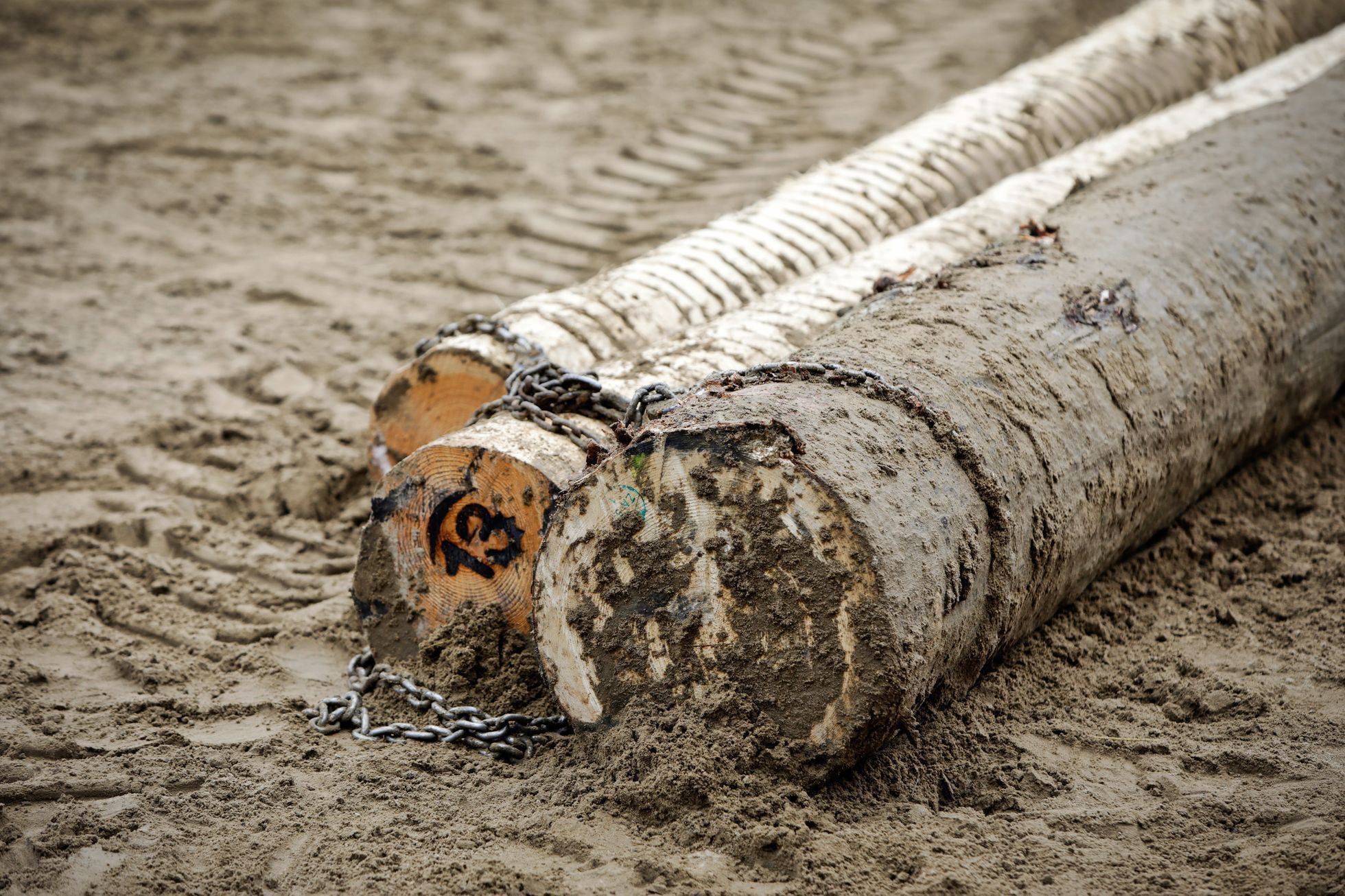Formanské závody, Nemšová, Slovensko, Lifestyle