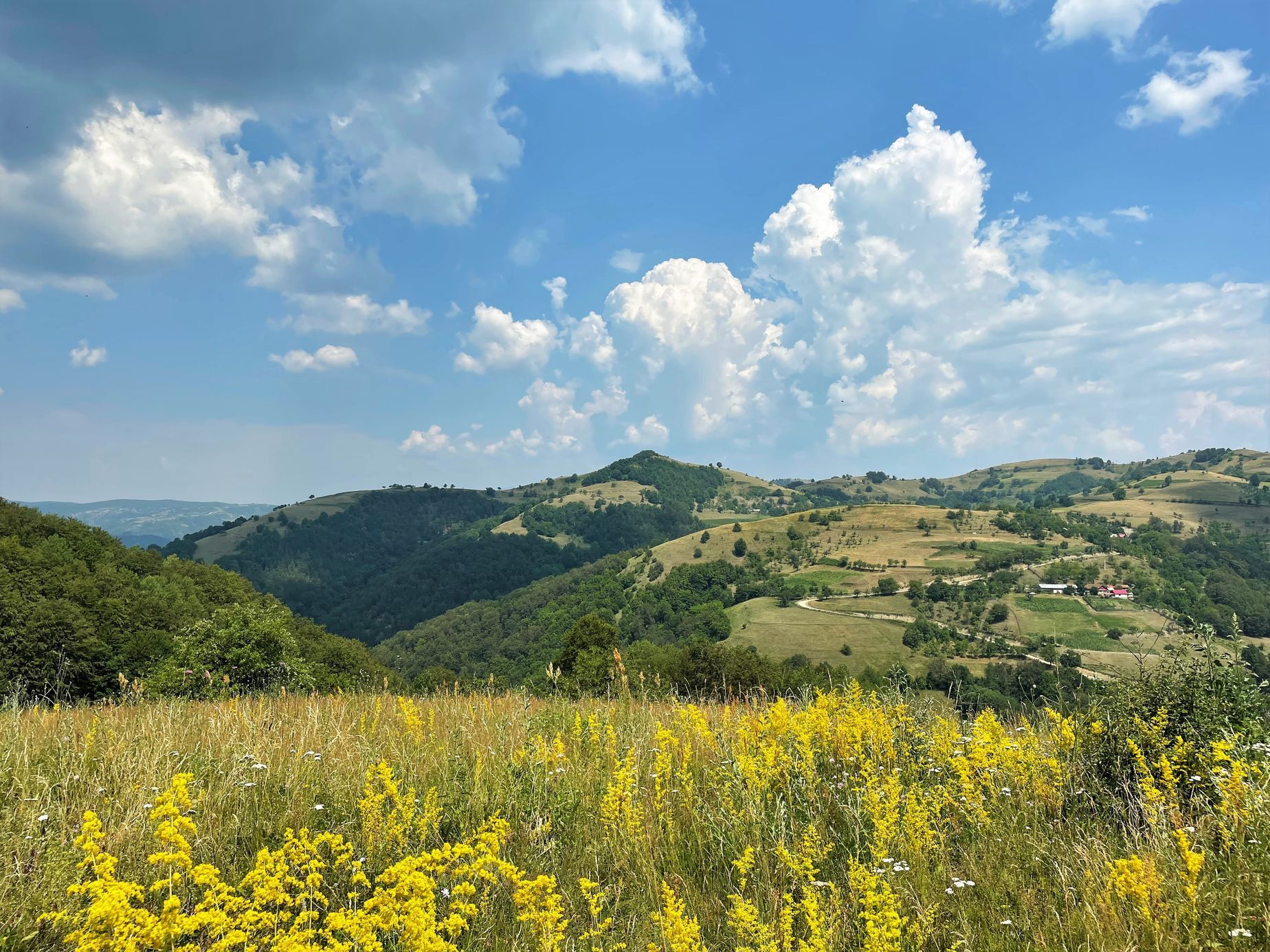 Banát, Rumunsko, Češi, krajané