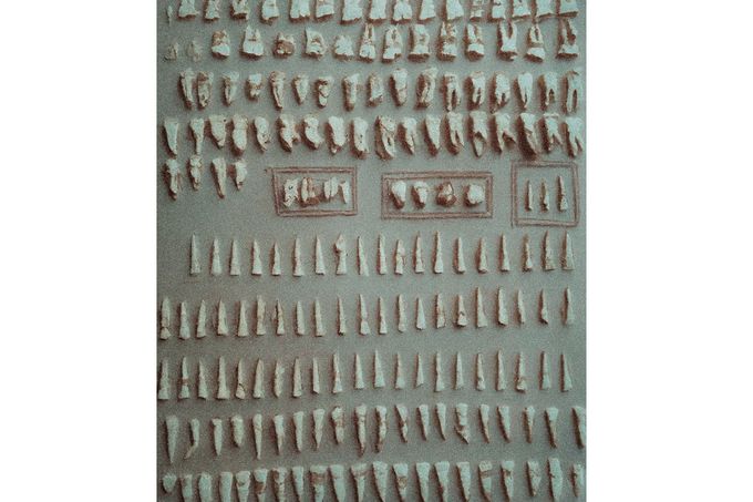 Forensní dokumentace zubů a kostních fragmentů obětí kanibala Karla Denkeho z Münsterbergu. Kolorováno