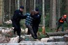 Z šumavských lesů: Spor o napadení a slib nové taktiky