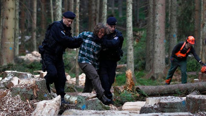 Přetahovaná mezi aktivisty na jedné straně a správci národního parku, policisty a dřevorubci na straně druhé pokračuje