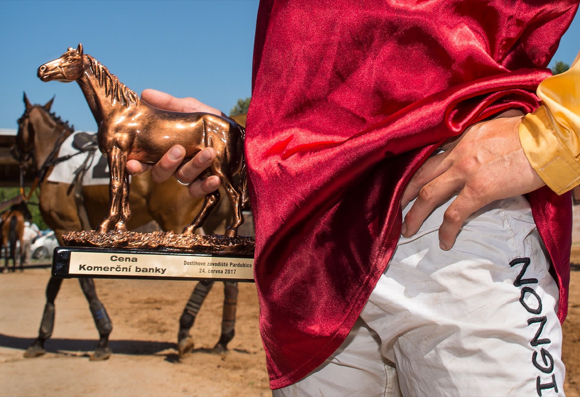 Czech Press Photo 2017: Sport (série)