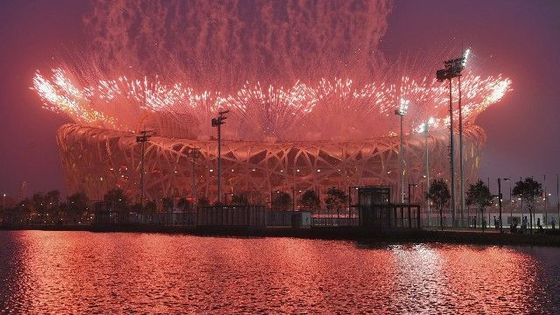 Ptačí hnízdo explodovalo. Ohňostrojem. Podívejte se