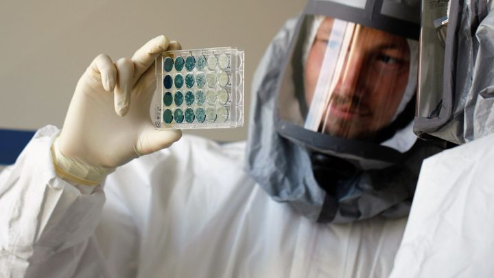 Zlom v léčení klíšťové encefalitidy. Češi s Američany vyvinuli účinné protilátky; Zdroj foto: Biologické centrum AV ČR